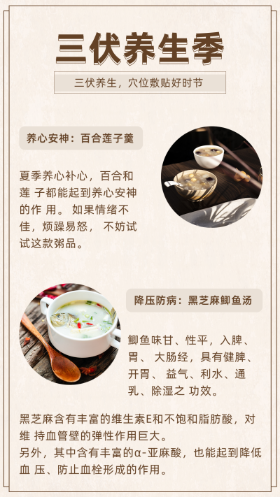 夏天三伏天传统养生美食竖版配图 模板ID：14446