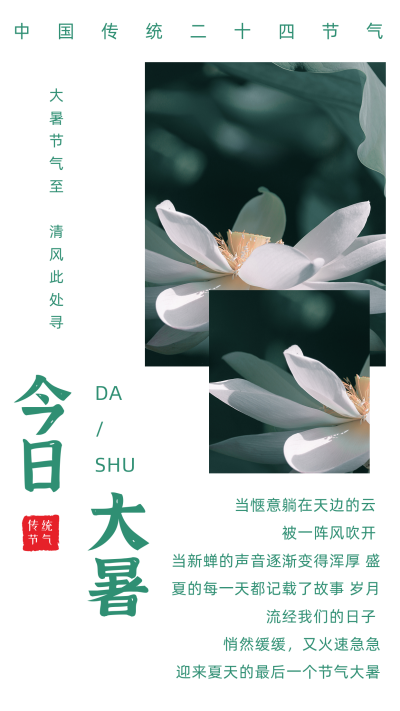 文艺大暑节气竖版配图 模板ID:14449