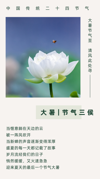 文艺传统二十四大暑节气竖版配图 模板ID:14451