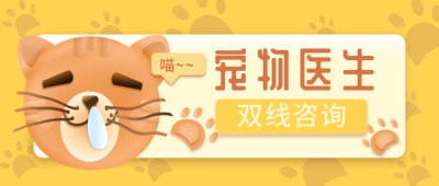 宠物医生公众号封面首图 模板ID:15883