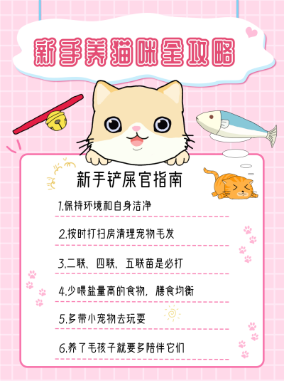 粉色养猫攻略小红书封面 模板ID：16006