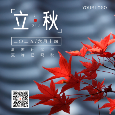 二十四节气立秋简约实图红色枫叶方形海报 模板ID：16022