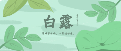 白露清新绿色公众号封面首图 模板ID：16060