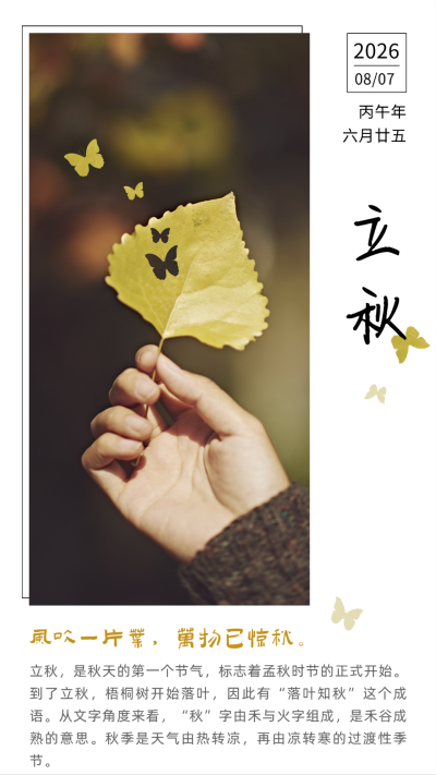 立秋节气秋天落叶实景简约文艺竖版配图 模板ID:16129