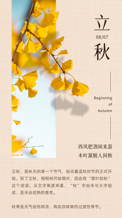 立秋节气秋天黄叶银杏实景中国风竖版配图 模板ID:16149