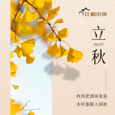 立秋节气秋天黄叶银杏实景中国风方形海报 模板ID:16154