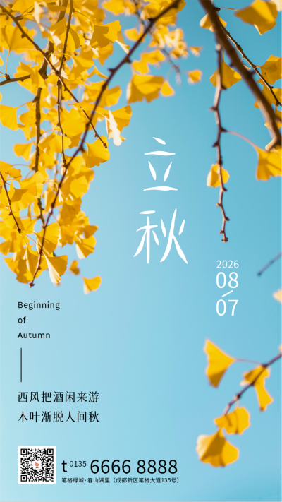 立秋节气秋天黄叶银杏实景简约手机海报 模板ID:16163