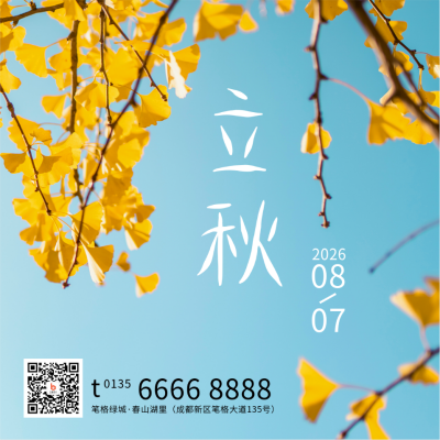 立秋节气秋天黄叶银杏实景简约方形海报 模板ID:16165