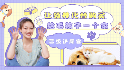 宠物领养手绘风格视频封面 模板ID:16547