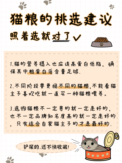 猫粮的挑选建议手绘小红书封面 模板ID：16548
