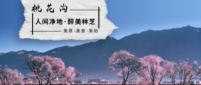 旅游出行美丽山水桃花源实景简约公众号封面首图 模板ID:16715