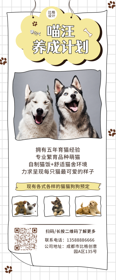 宠物养成计划白色格子背景简约实景长图海报 模板ID:17466