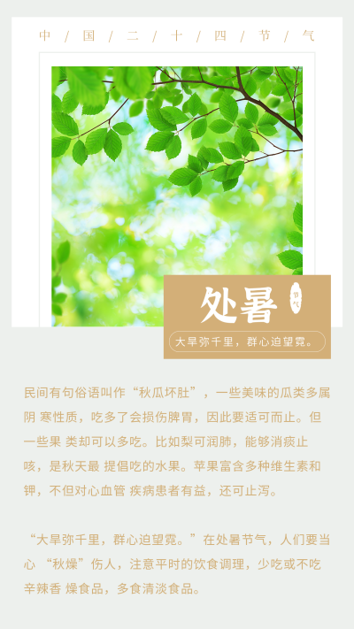文艺二十四节气处暑竖版配图 模板ID:17938