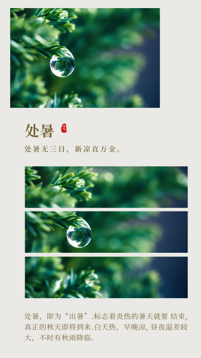 文艺二十四节气处暑多图竖版配图 模板ID:17940