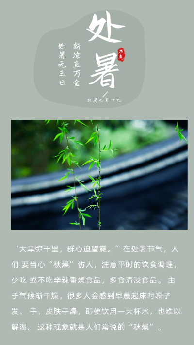 中国风传统二十四节气处暑竖版配图 模板ID:17942