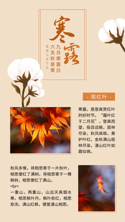 寒露节气观红叶习俗手绘棉花简约竖版配图 模板ID:18219