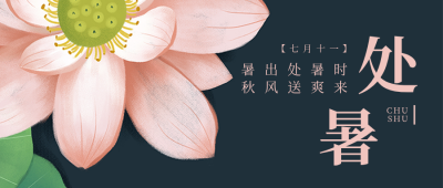 节气节日处暑简约清新实景绿色荷花公众号首图 模板ID：18257