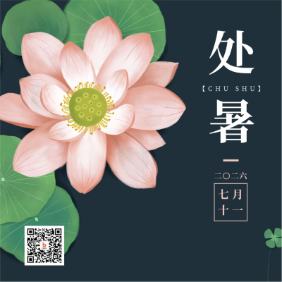 节气节日处暑简约清新绿色荷花方形海报 模板ID：18258