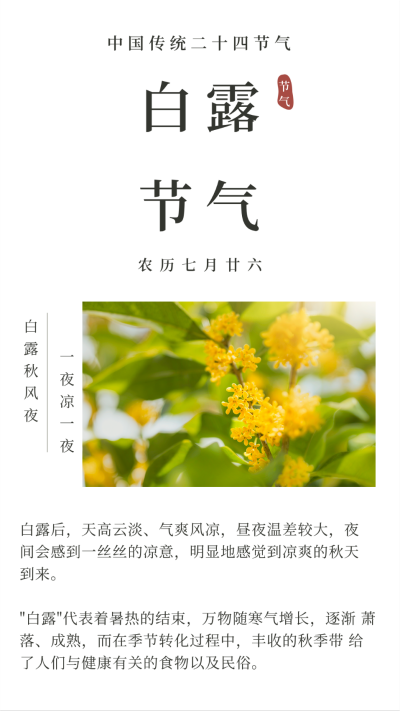 清新文艺二十四白露节气竖版配图 模板ID：19494