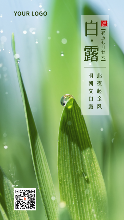白露节气简约实景手机海报 模板ID:19752