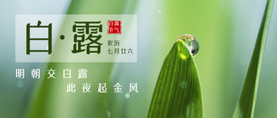 白露节气简约实景绿色公众号首图 模板ID:19754