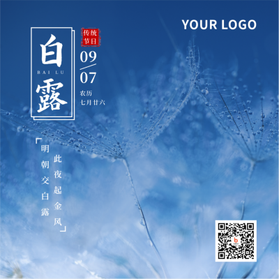 节气白露简约实景蓝色方形海报 模板ID：20156
