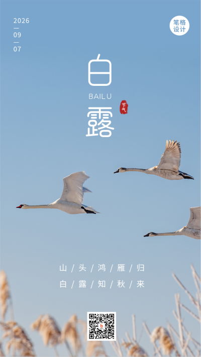 白露节气简约实景手机海报 模板ID：20177