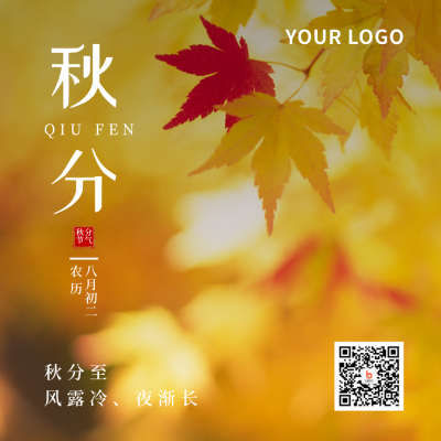 二十四节气秋分简约实景黄色方形海报 模板ID:20548