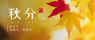 二十四节气秋分简约实景黄色公众号封面首图 模板ID：20549