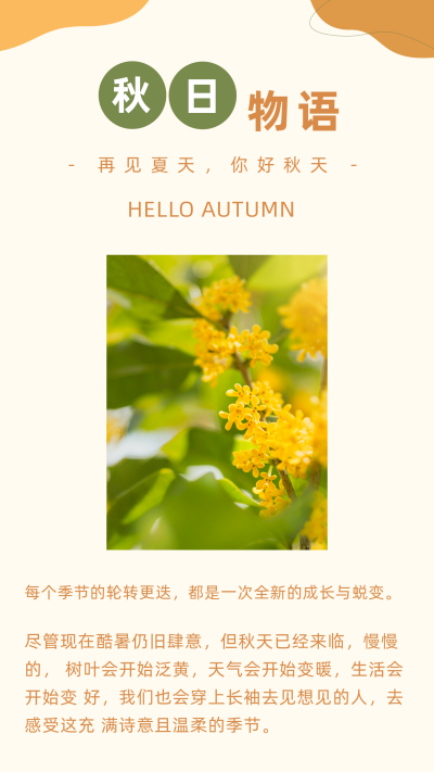 秋天莫兰迪色系文艺实景竖版配图 模板ID：20664