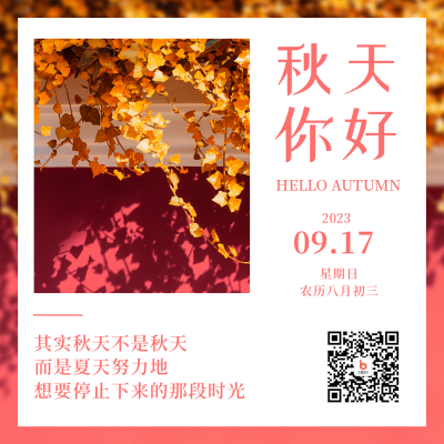 秋天你好日签简约实景排版方形海报 模板ID：20771