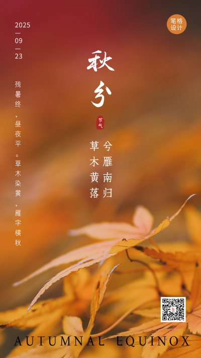 秋分节气秋天你好枫叶落叶实景手机海报 模板ID:21027
