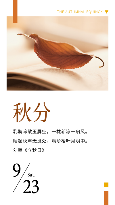 秋分节气秋天枯叶书本美文简约竖版配图 模板ID:21046