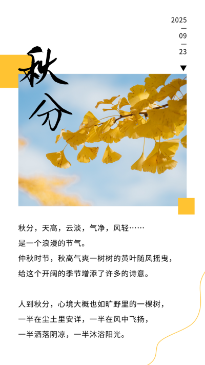秋分节气秋天银杏美文简约文艺竖版配图 模板ID:21051