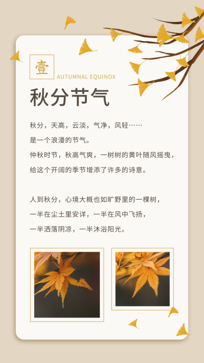 秋分节气秋天银杏美文简约手绘竖版配图 模板ID:21063