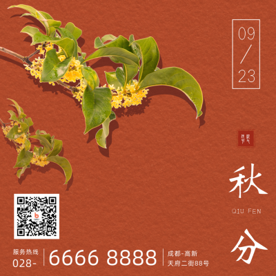 秋分节气方形海报 模板ID:21071