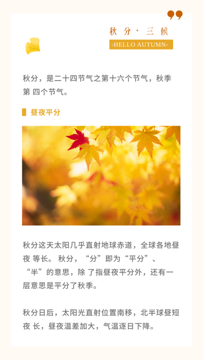 中国传统二十四节气秋分银杏竖版配图 模板ID:21114