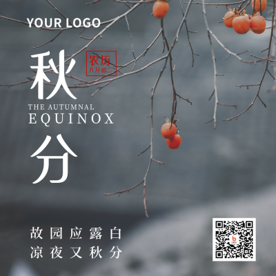 二十四节气秋分简约实景灰色方形海报 模板ID：21142
