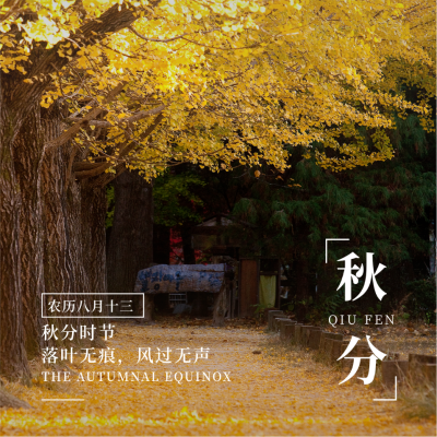 二十四节气秋分简约实景黄色方形海报 模板ID:21349