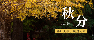 二十四节气秋分简约实景黄色公众号封面首图 模板ID:21350