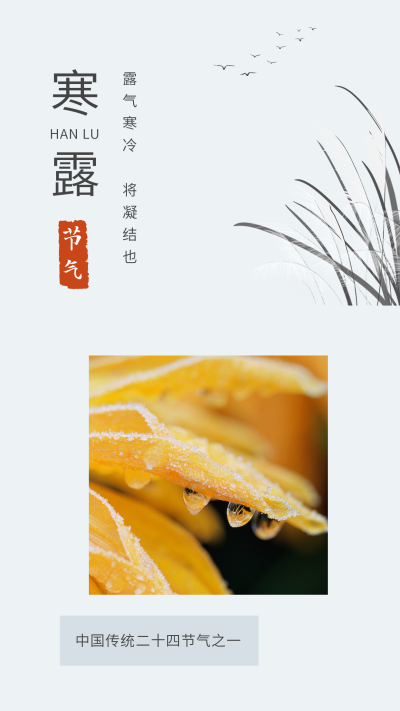 手绘中国风水墨二十四节气寒露白露竖版配图 模板ID:21392