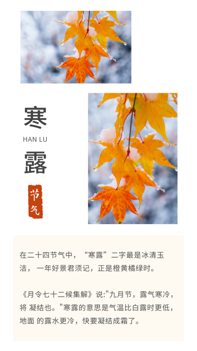简约中国风二十四节气寒露白露竖版配图 模板ID：21397