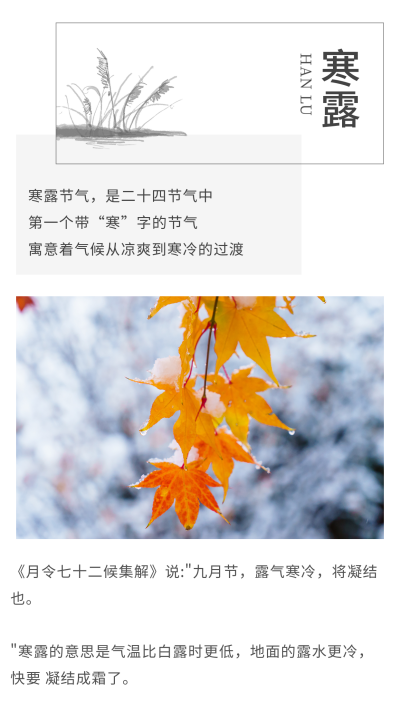 中国风水墨二十四节气寒露白露竖版配图 模板ID：21400