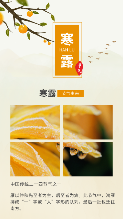 二十四节气寒露白露竖版配图 模板ID:21402