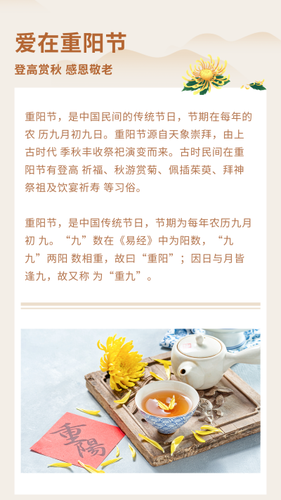 中国风习俗菊花重阳节竖版配图 模板ID:21876