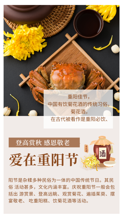 重阳节登高赏秋感恩敬老竖版配图 模板ID:21882