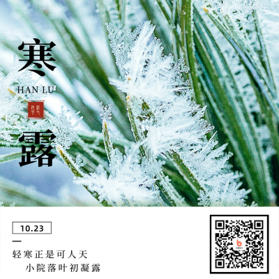 简约实景寒露节气方形海报 模板ID:21957