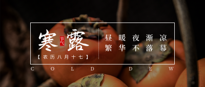 简约橙色实景二十四节气寒露公众号封面首图 模板ID:22527