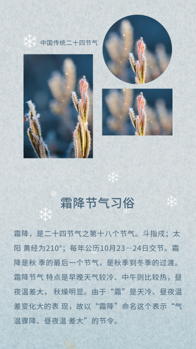 实景霜降二十四节气竖版配图 模板ID：22731
