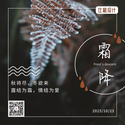 霜降二十四节气秋天霜露枯叶实景方形海报 模板ID:22886